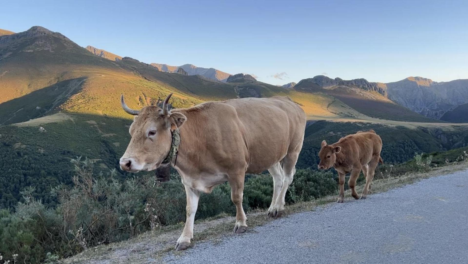 Posada La Trebede Perrozo Dış mekan fotoğraf