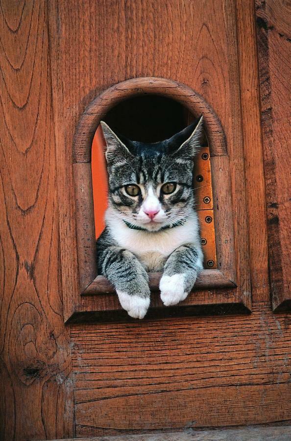 Posada La Trebede Perrozo Dış mekan fotoğraf